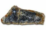 Polished Trent Agate With Stibnite & Realgar - Oregon #378037-1